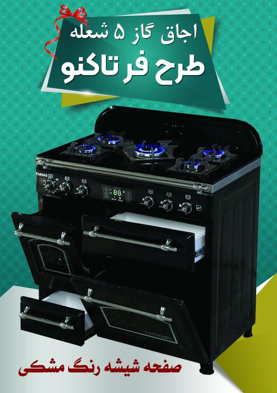 Cabinet gas stove, 5 burner oven design, Farnas Company